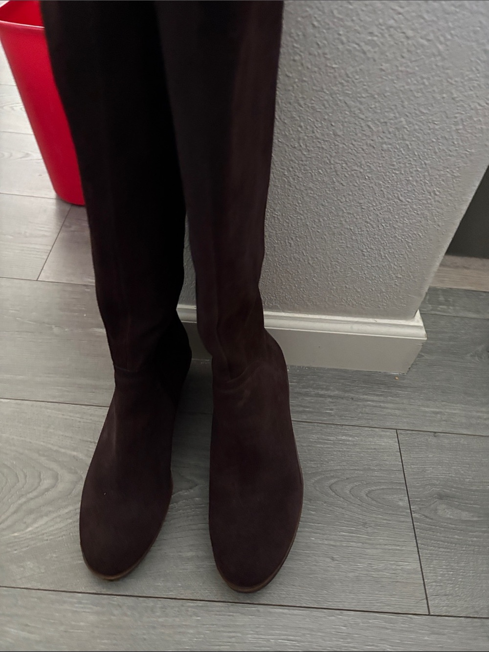 AEROSOLES Tall Suede Over-the-Knee Boots in Dark Brown